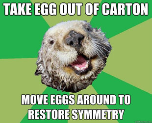 OCD Otter
