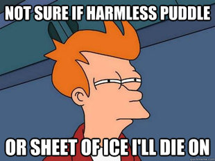 Futurama Fry
