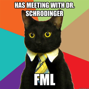 Business Cat