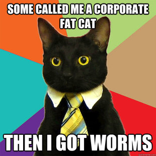 Business Cat