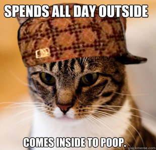 Scumbag Cat
