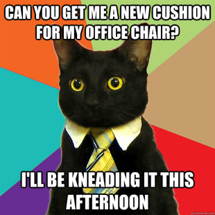 Business Cat