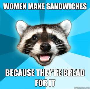 Lame Pun Coon