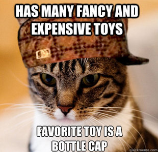 Scumbag Cat