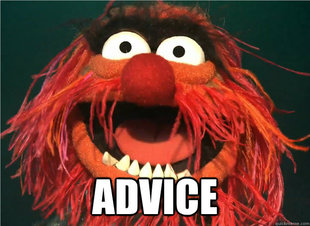 advice animal