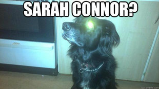 Terminator dog