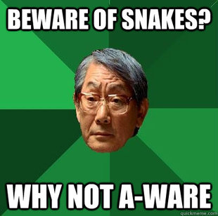 High Expectations Asian Father