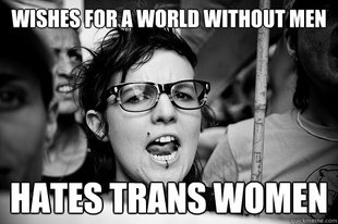 Hypocrite Feminist