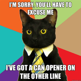 Business Cat