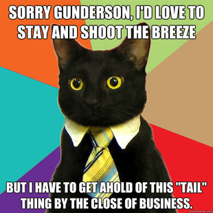 Business Cat