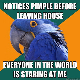 Paranoid Parrot