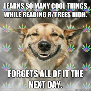 Stoner Dog