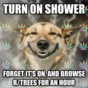 Stoner Dog
