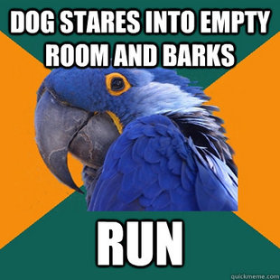 Paranoid Parrot