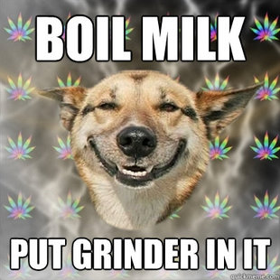 Stoner Dog