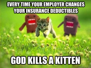 God Kills a Kitten