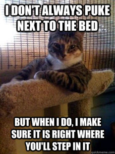 The Most Interesting Cat in the World