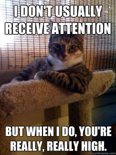 The Most Interesting Cat in the World