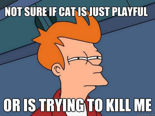 Futurama Fry