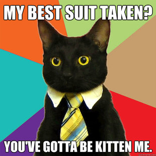Business Cat