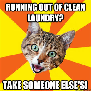 Bad Advice Cat