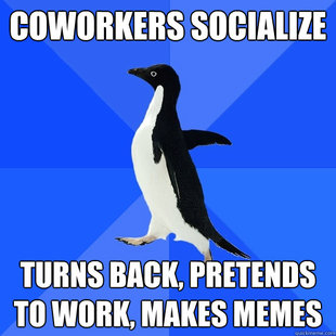 Socially Awkward Penguin