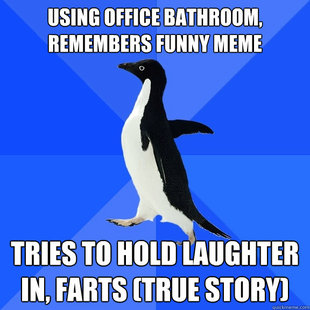 Socially Awkward Penguin