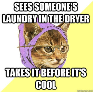 Hipster Kitty
