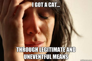 First World Problems
