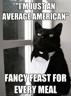 1% Cat