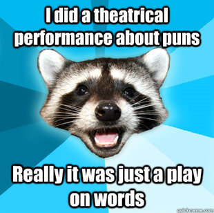 Lame Pun Coon