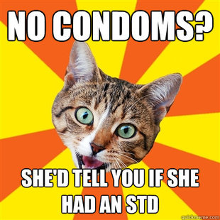 Bad Advice Cat