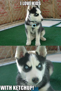 Insanity puppy