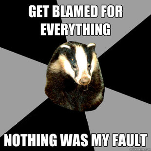 Badger Meme