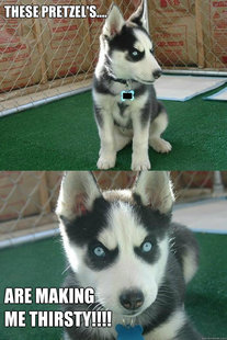 Insanity puppy