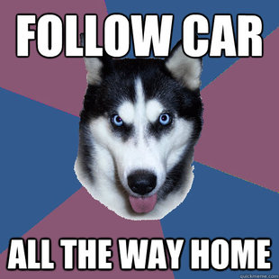 Creeper Canine