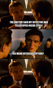 Inception
