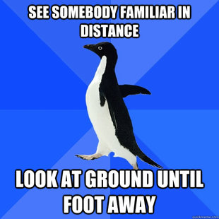 Socially Awkward Penguin