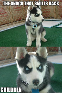 Insanity puppy