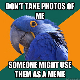 Paranoid Parrot