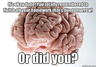 Scumbag Brain