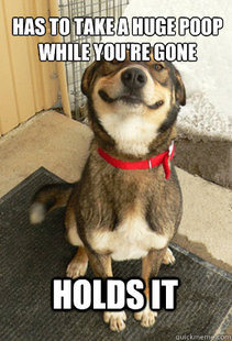 Good Dog Greg