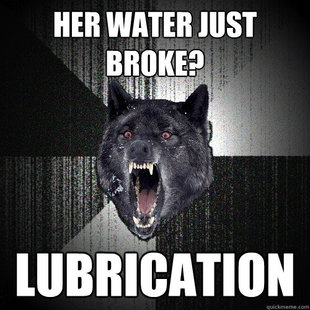 Insanity Wolf