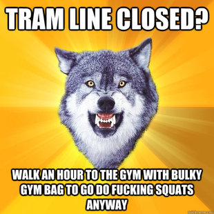 Courage Wolf