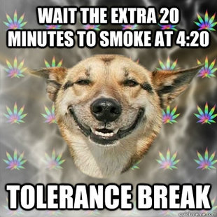 Stoner Dog