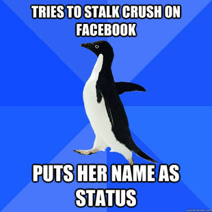 Socially Awkward Penguin