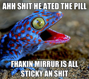 Obnoxious Gecko At The Movies