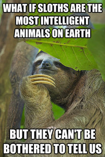 Philososloth