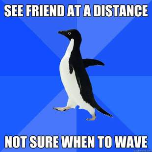Socially Awkward Penguin