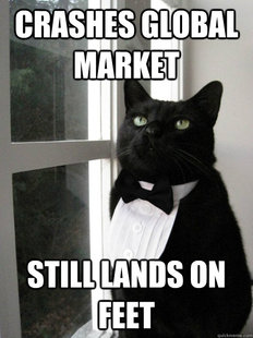 One Percent Cat